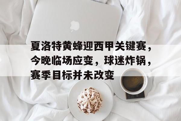 夏洛特黄蜂迎西甲关键赛，今晚临场应变，球迷炸锅，赛季目标并未改变的简单介绍-熊猫体育官网